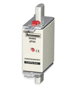 BUSSMANN
