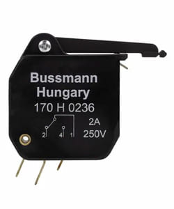 BUSSMANN