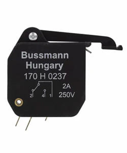 BUSSMANN