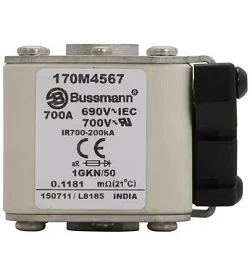 BUSSMANN