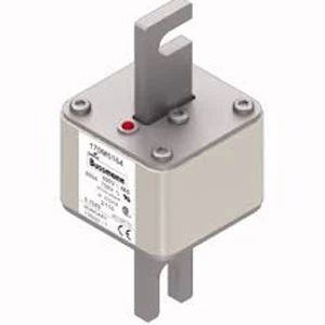 BUSSMANN