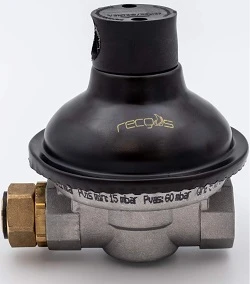 RECGAS