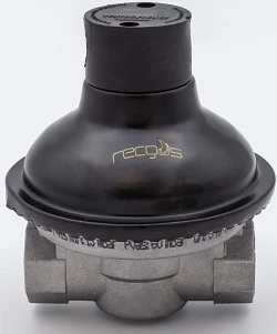RECGAS