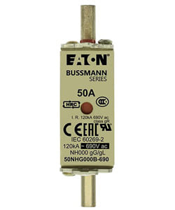 BUSSMANN