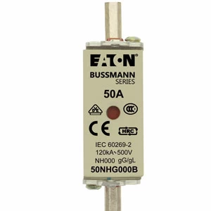 BUSSMANN