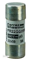 FERRAZ-SHAWMUT