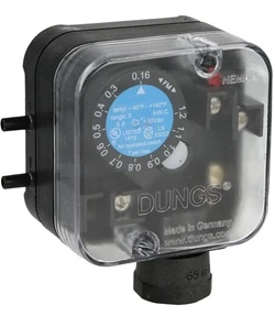 DUNGS