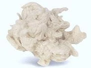 RAWELT