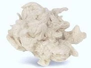 RAWELT