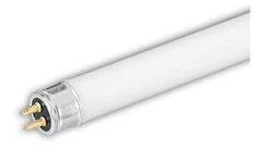 LUMIACTION