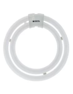 LUMIACTION