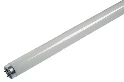 LUMIACTION