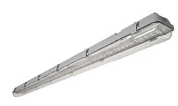 MAGG