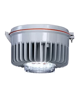 RAWELT