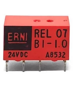 ERNI