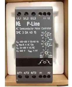 IC-ELECTRONIC