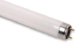 PLUSRITE