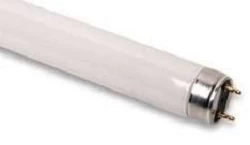 OSRAM