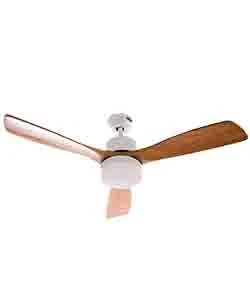 MASTERFAN