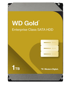 WESTERN-DIGITAL