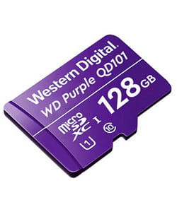 WESTERN-DIGITAL