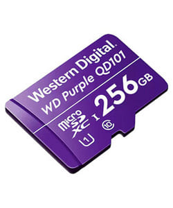 WESTERN-DIGITAL