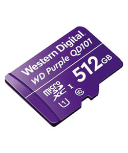 WESTERN-DIGITAL