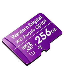 WESTERN-DIGITAL